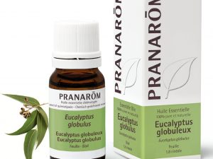 huile essentielle d'eucalyptus globuleux