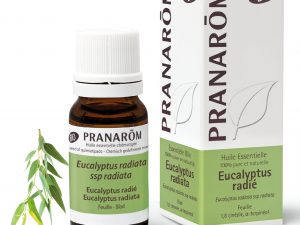 huile essentielle d'eucalyptus radié bio