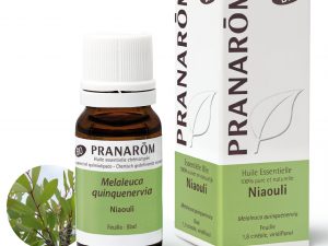 huile essentielle de niaouli bio